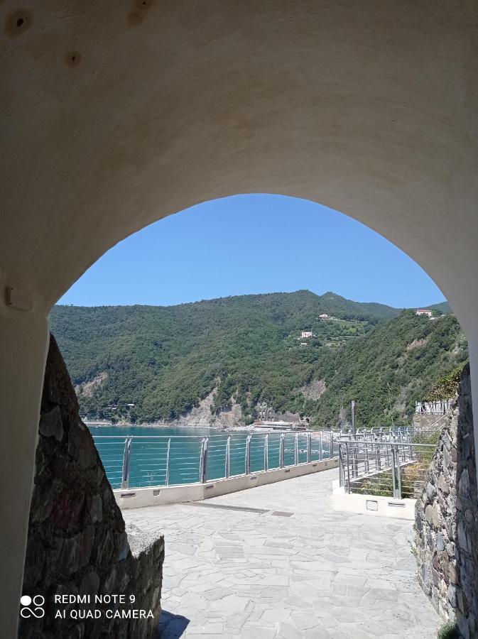 Casafischea19 Lägenhet Moneglia Exteriör bild